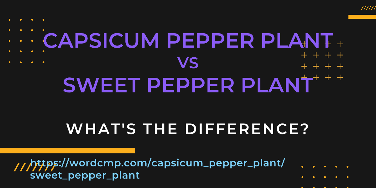 Difference between capsicum pepper plant and sweet pepper plant