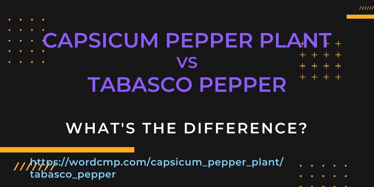 Difference between capsicum pepper plant and tabasco pepper