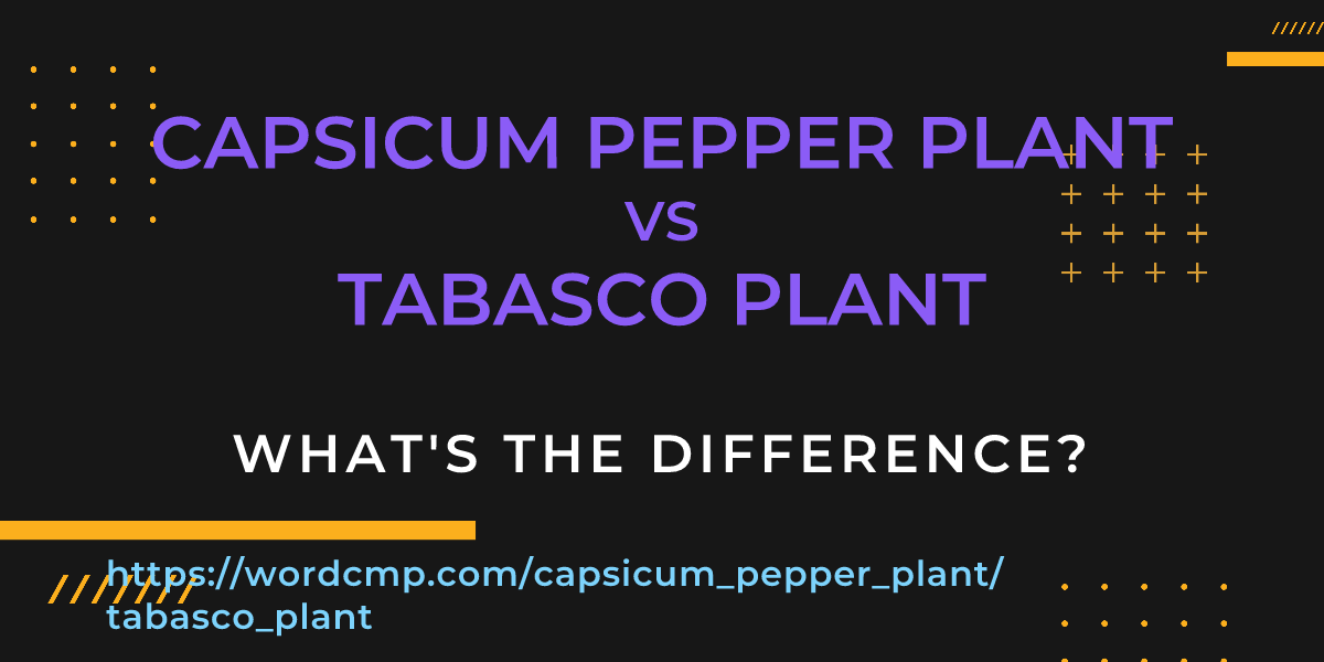 Difference between capsicum pepper plant and tabasco plant