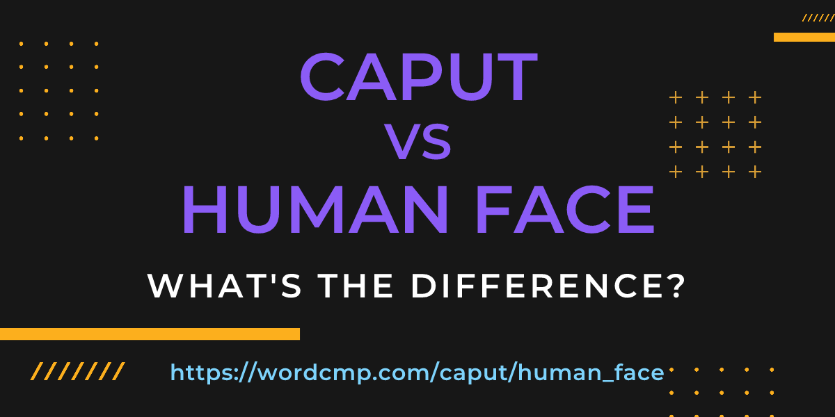 Difference between caput and human face