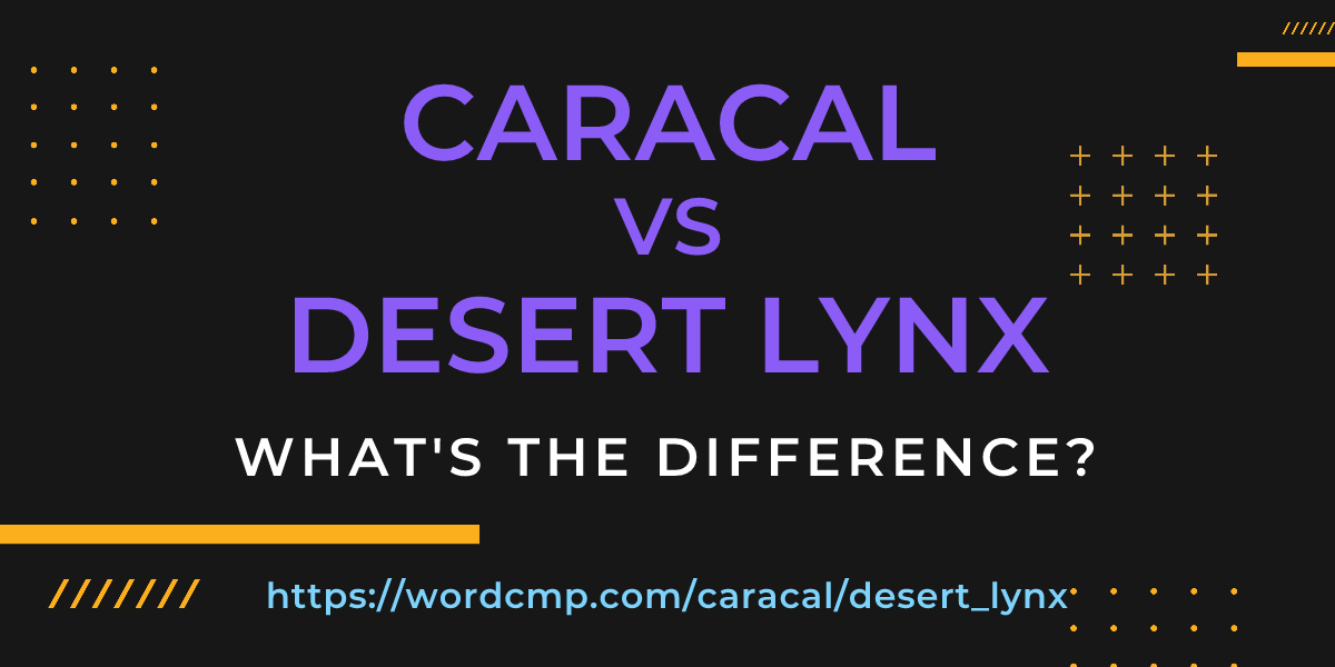 Difference between caracal and desert lynx