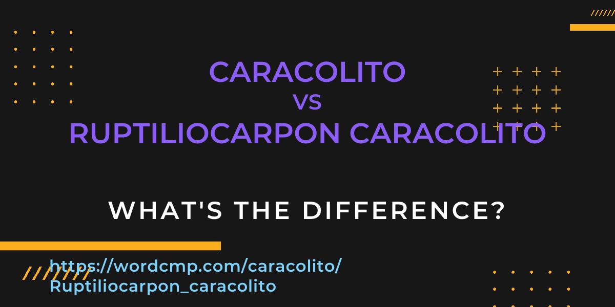 Difference between caracolito and Ruptiliocarpon caracolito