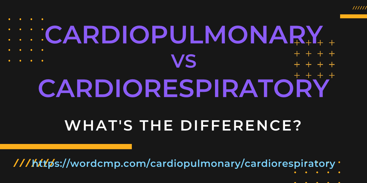 Difference between cardiopulmonary and cardiorespiratory