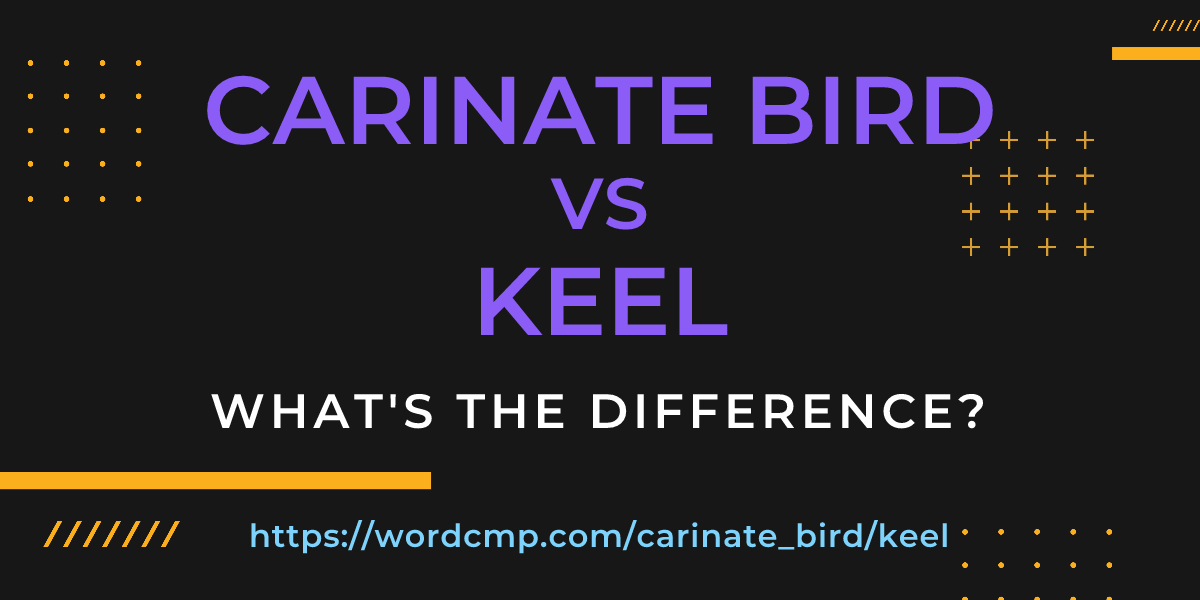 Difference between carinate bird and keel
