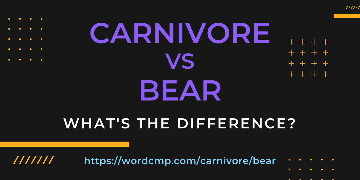 Difference between carnivore and bear