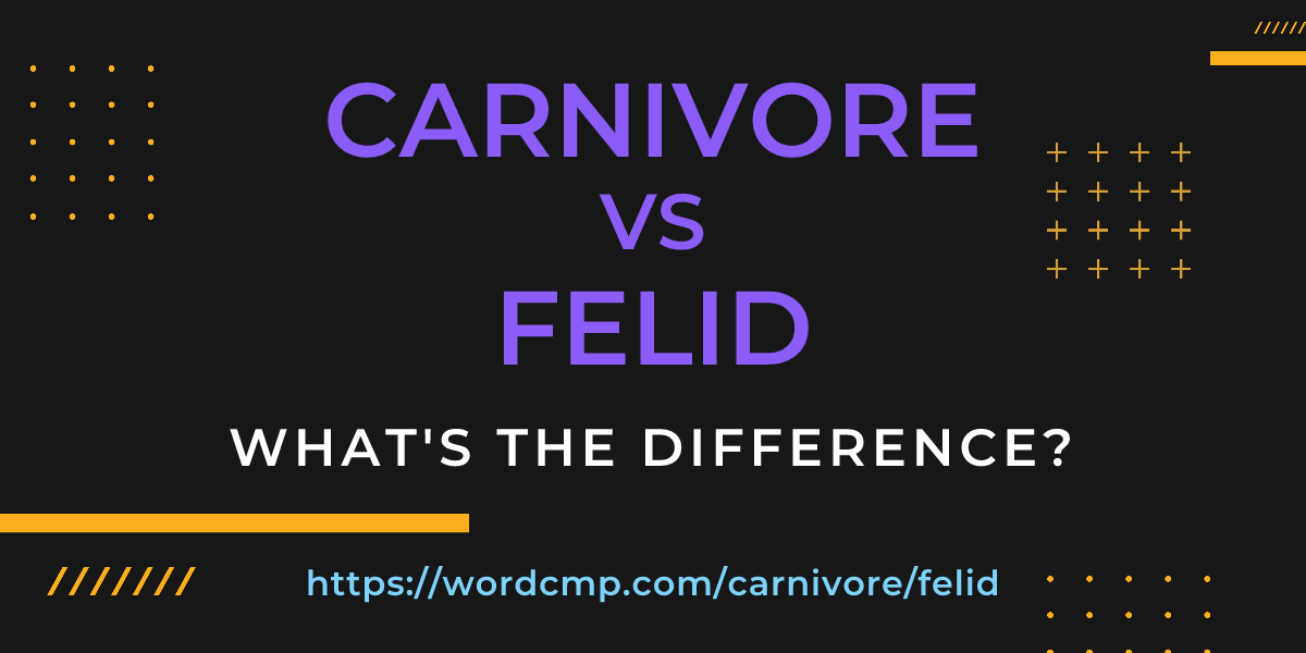 Difference between carnivore and felid