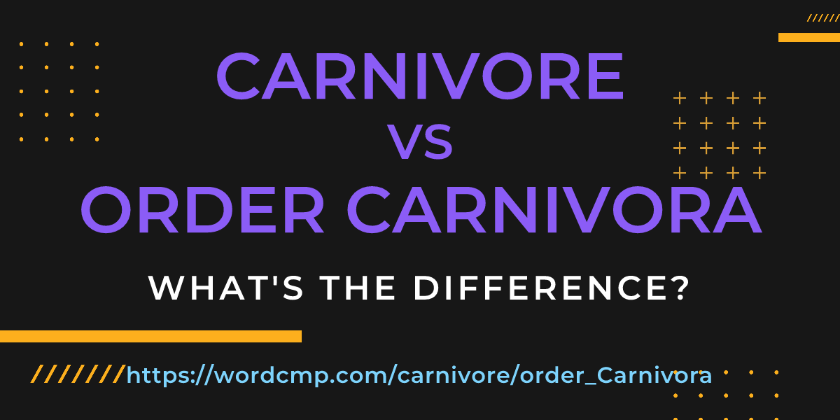 Difference between carnivore and order Carnivora