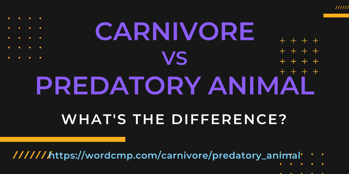 Difference between carnivore and predatory animal