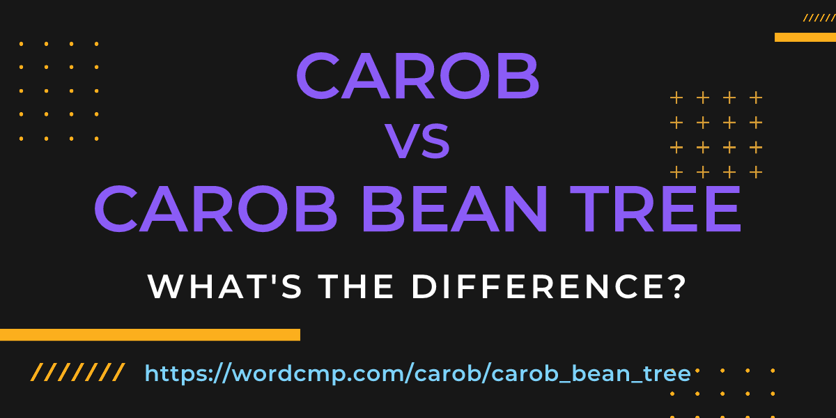 Difference between carob and carob bean tree