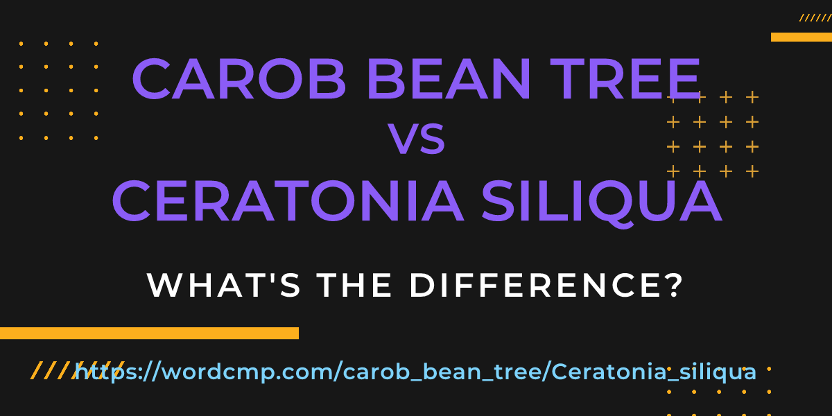 Difference between carob bean tree and Ceratonia siliqua