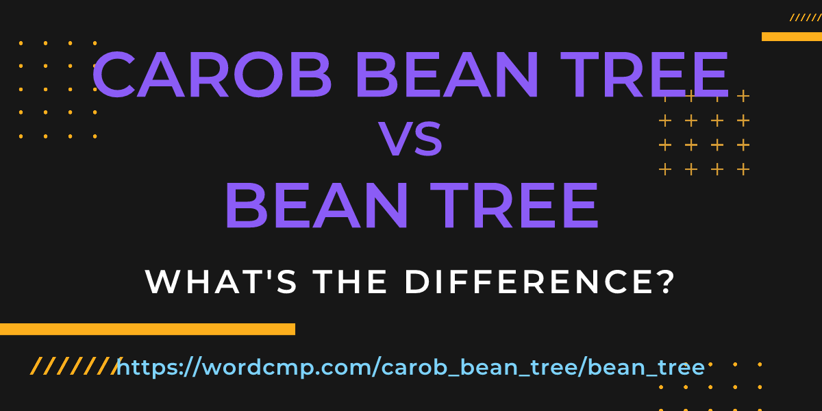 Difference between carob bean tree and bean tree