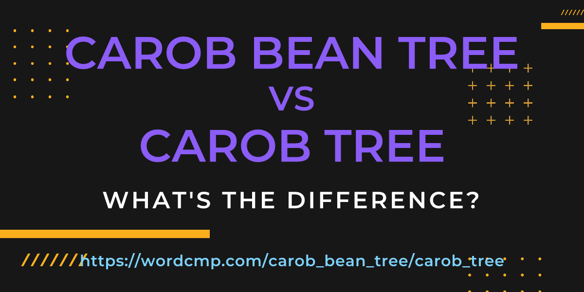 Difference between carob bean tree and carob tree