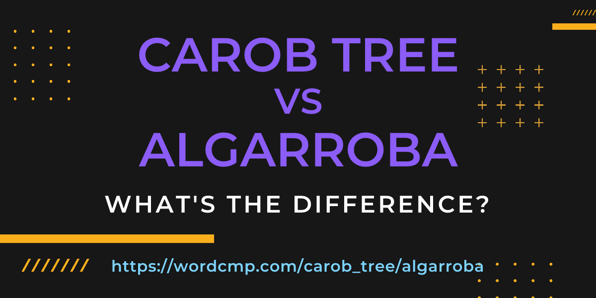 Difference between carob tree and algarroba