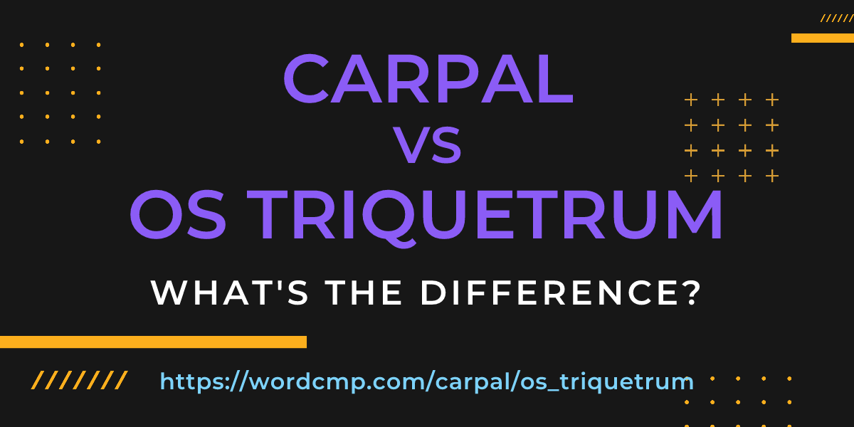 Difference between carpal and os triquetrum