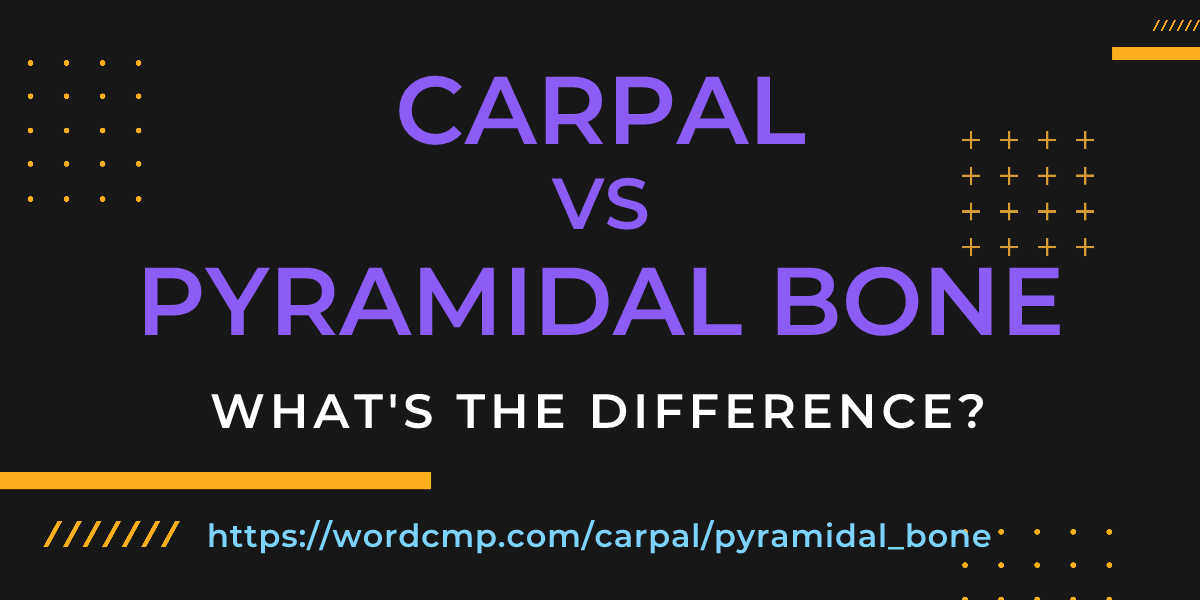 Difference between carpal and pyramidal bone