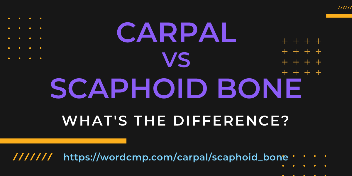 Difference between carpal and scaphoid bone