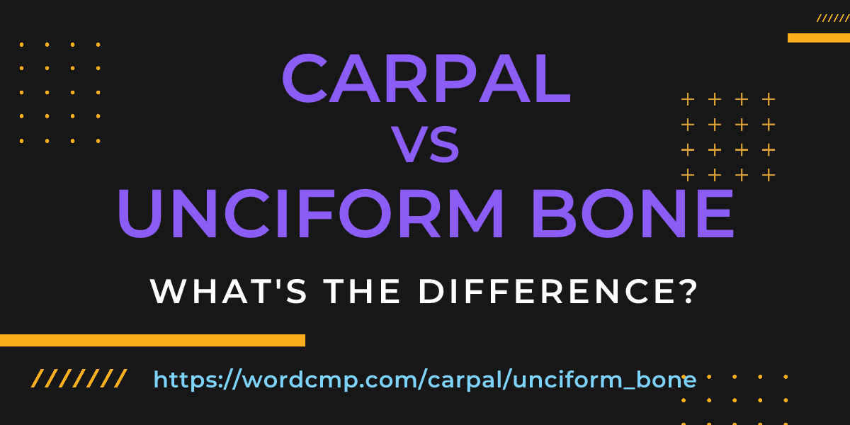 Difference between carpal and unciform bone