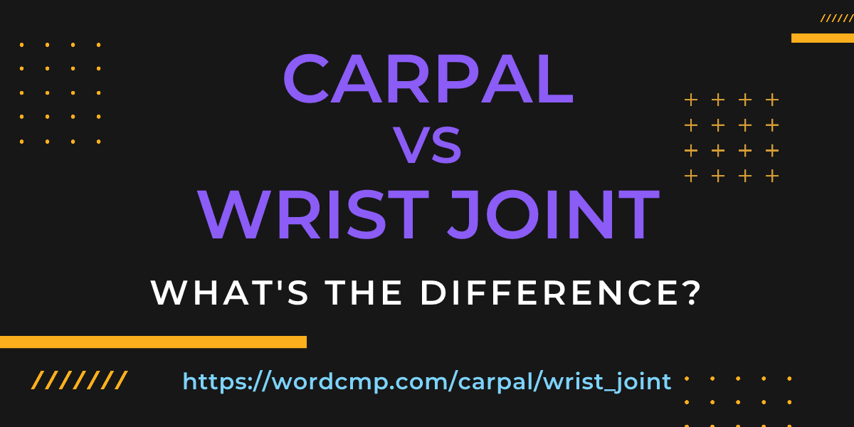 Difference between carpal and wrist joint