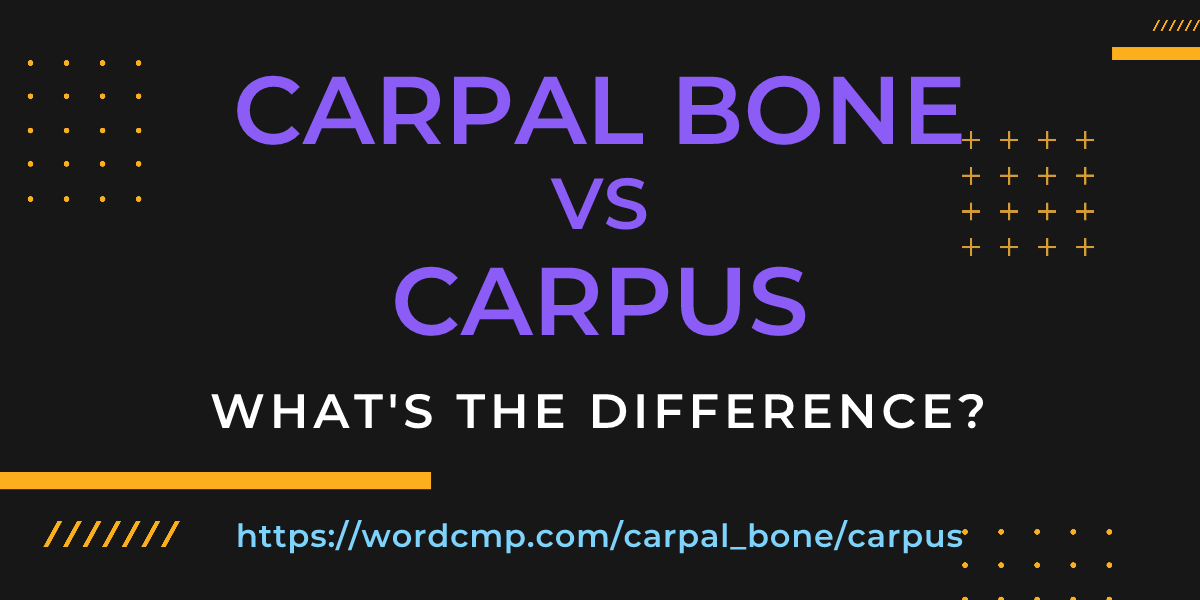 Difference between carpal bone and carpus