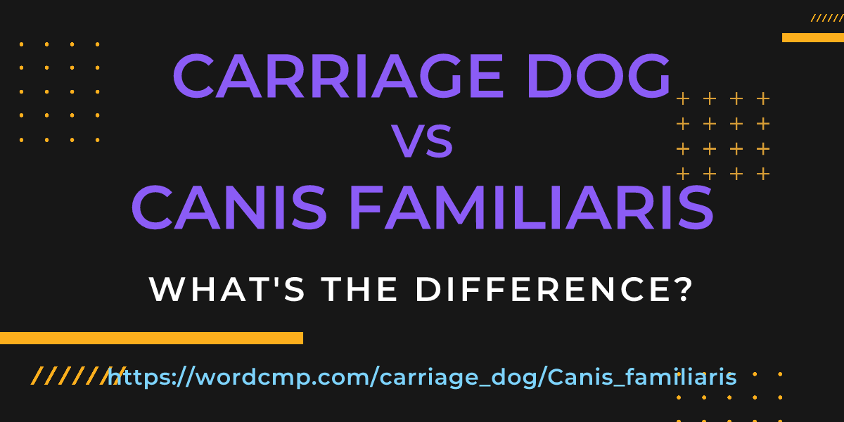 Difference between carriage dog and Canis familiaris