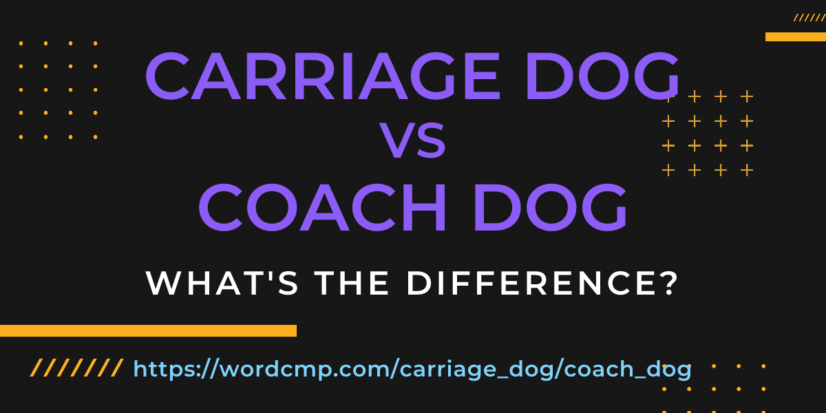 Difference between carriage dog and coach dog