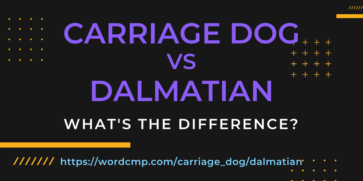Difference between carriage dog and dalmatian