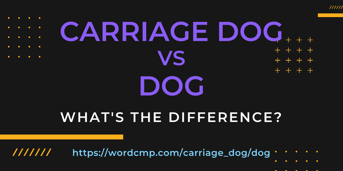 Difference between carriage dog and dog