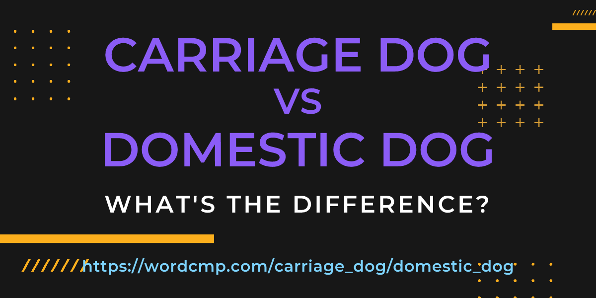 Difference between carriage dog and domestic dog