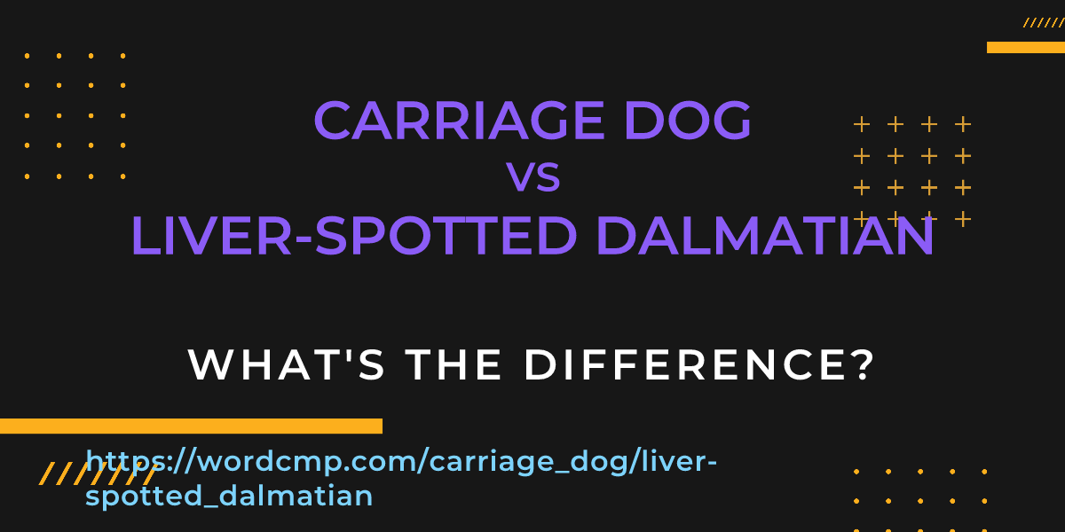 Difference between carriage dog and liver-spotted dalmatian
