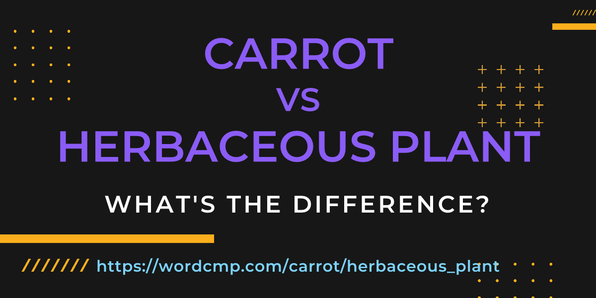 Difference between carrot and herbaceous plant