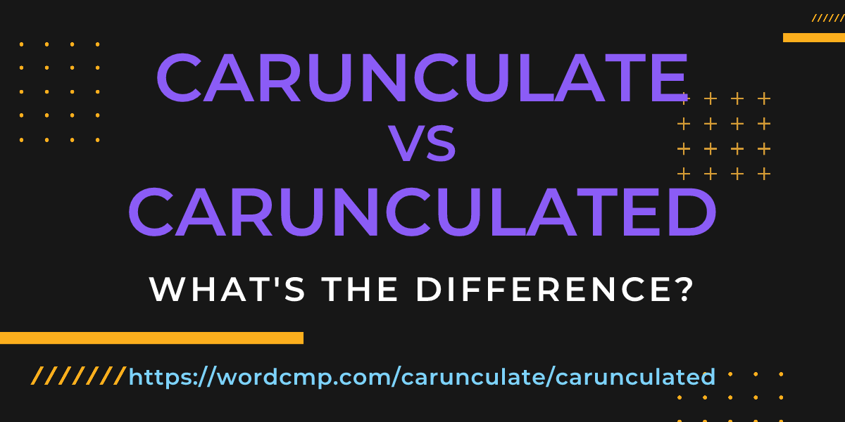Difference between carunculate and carunculated