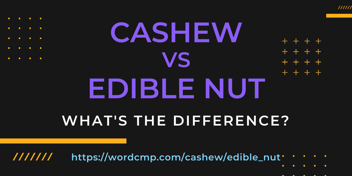 Difference between cashew and edible nut