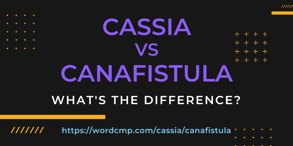 Difference between cassia and canafistula