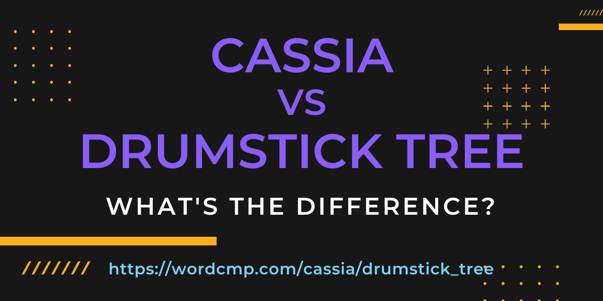 Difference between cassia and drumstick tree