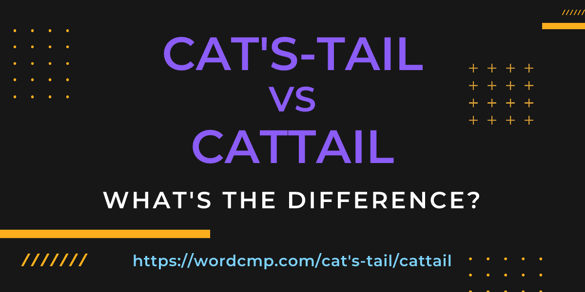 Difference between cat's-tail and cattail