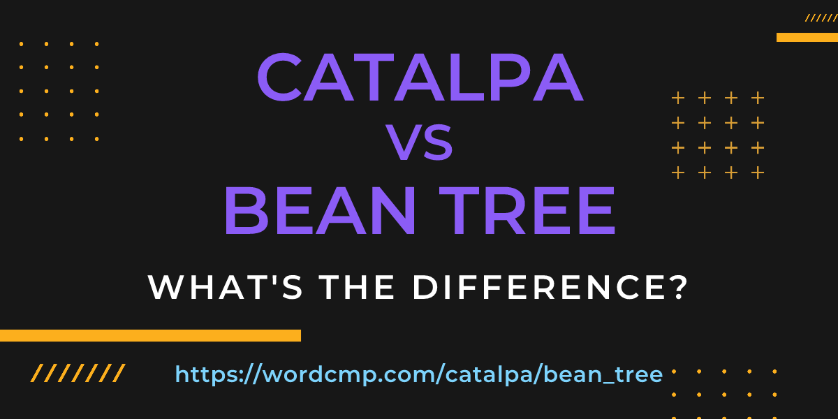 Difference between catalpa and bean tree