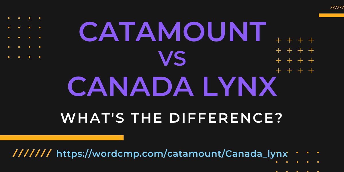 Difference between catamount and Canada lynx