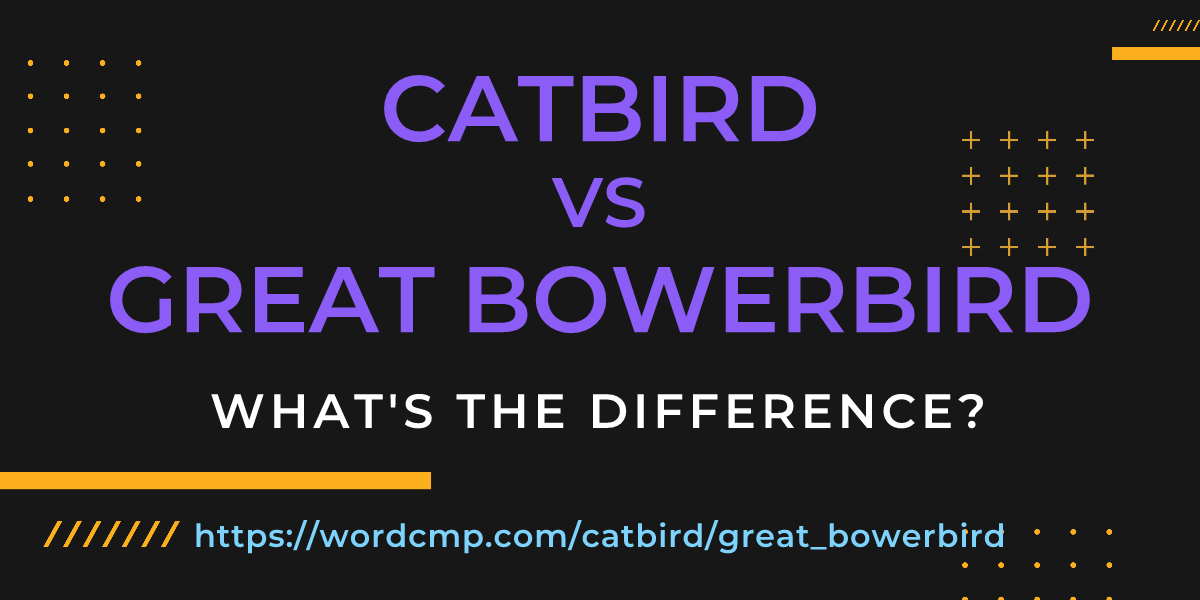Difference between catbird and great bowerbird