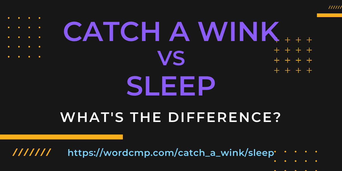 Difference between catch a wink and sleep