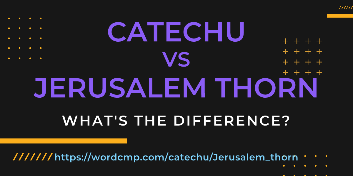 Difference between catechu and Jerusalem thorn