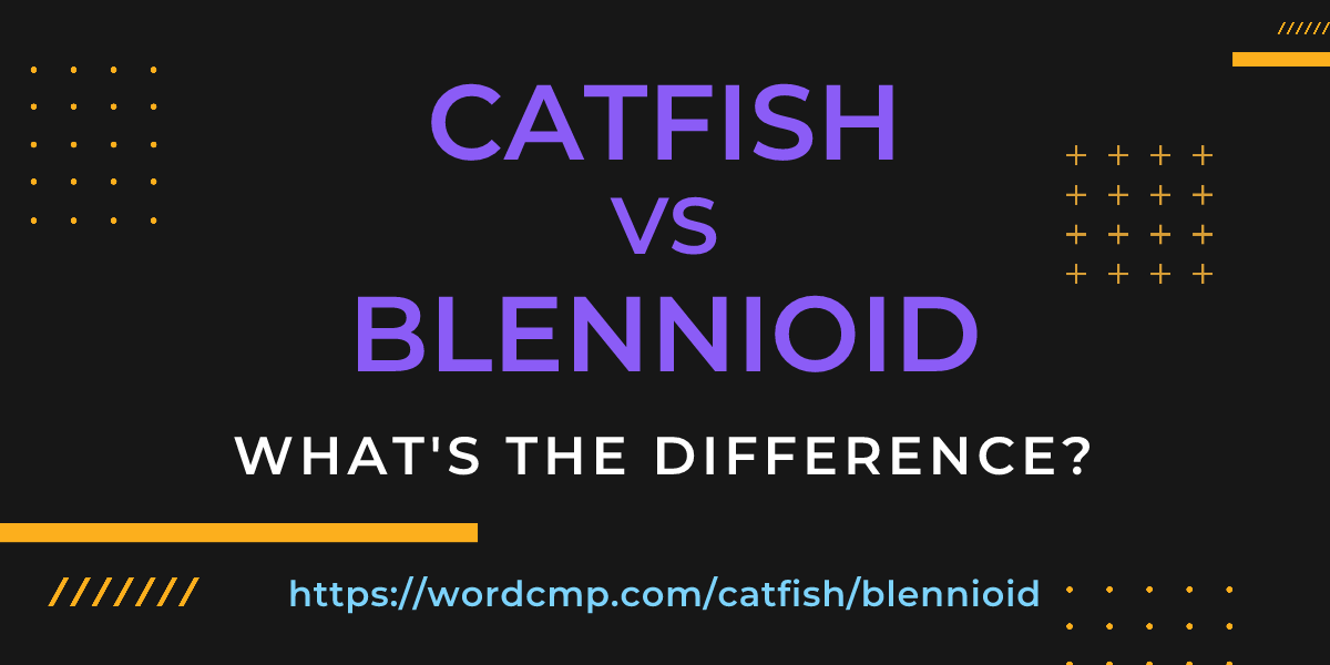 Difference between catfish and blennioid