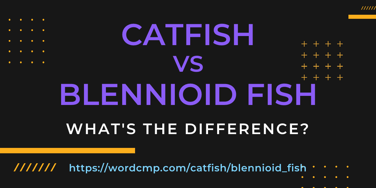 Difference between catfish and blennioid fish