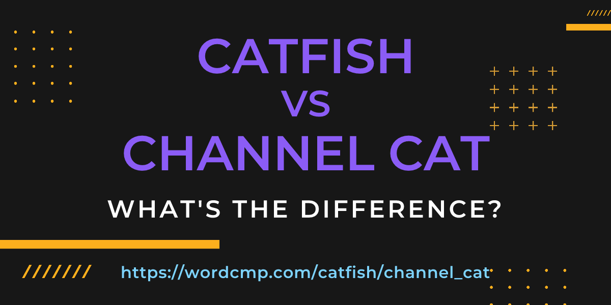 Difference between catfish and channel cat