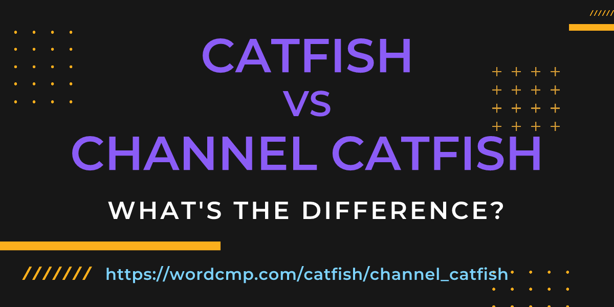 Difference between catfish and channel catfish