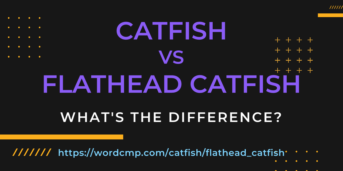 Difference between catfish and flathead catfish