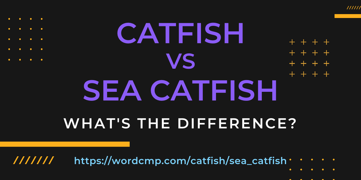 Difference between catfish and sea catfish