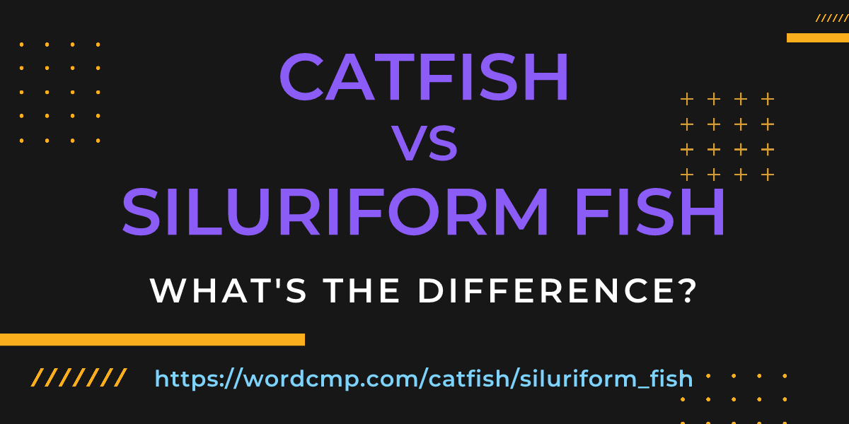 Difference between catfish and siluriform fish