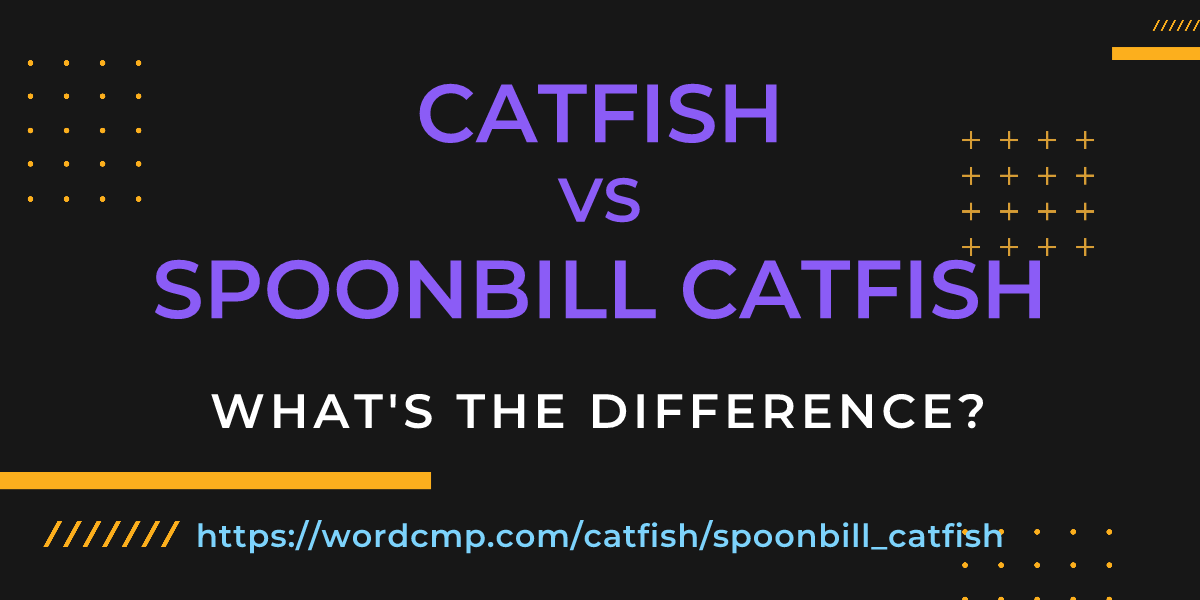 Difference between catfish and spoonbill catfish