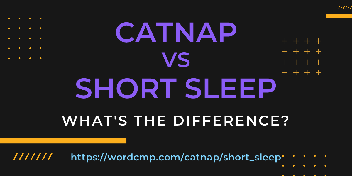 Difference between catnap and short sleep