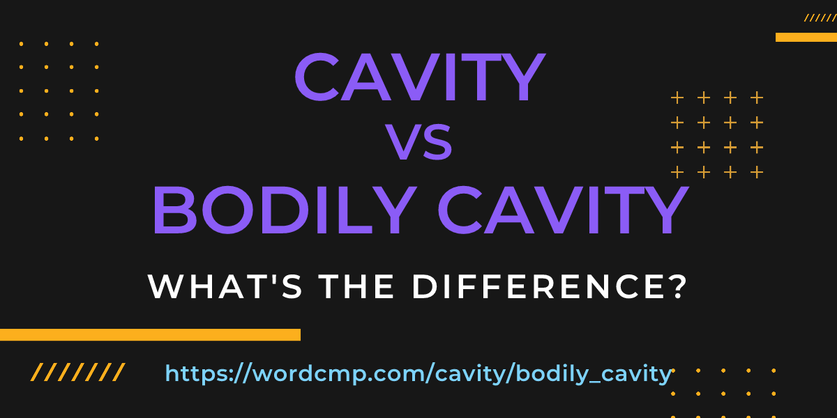 Difference between cavity and bodily cavity